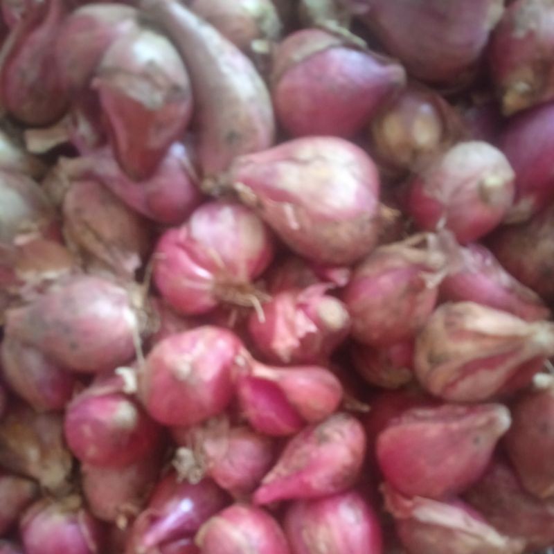 

BAWANG MERAH BREBES BESAR 500G
