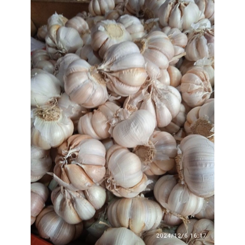 

BAWANG PUTIH BIASA BANCI BERSIH 250G