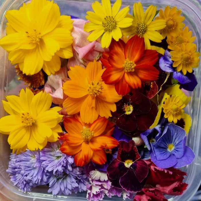 

✨TERLARIS -Mix Edible Flower Fresh