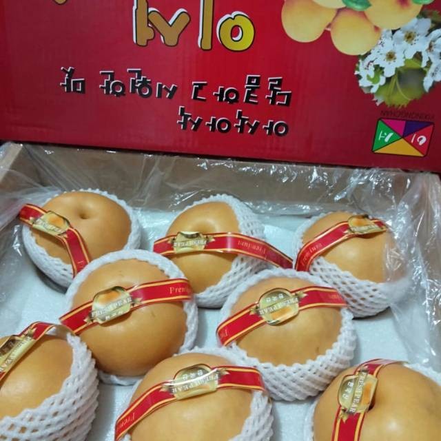 

BUAH PEARS KOREA 1 DUS