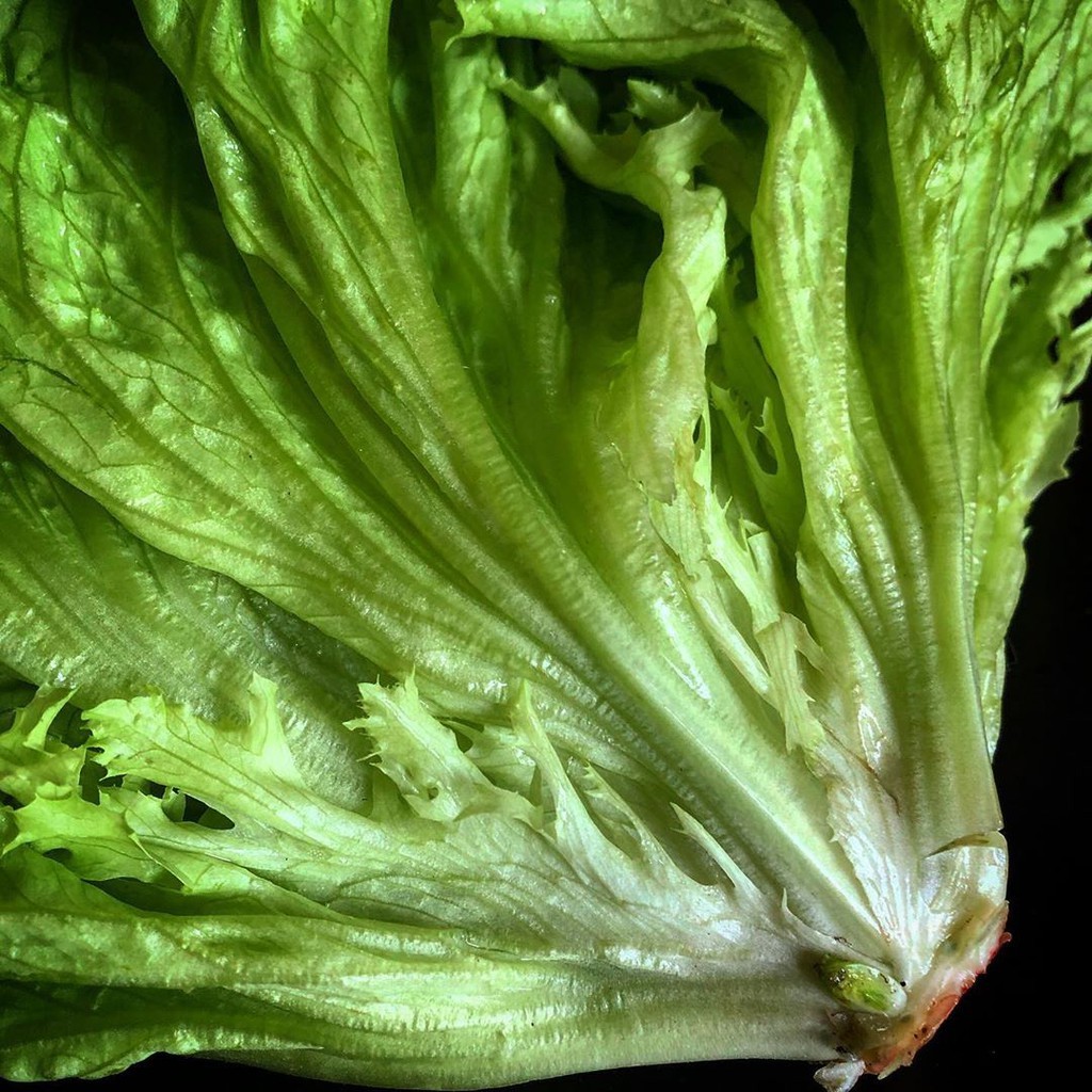 

[Dikirim Instant] Selada Keriting Segar | Selada Salad