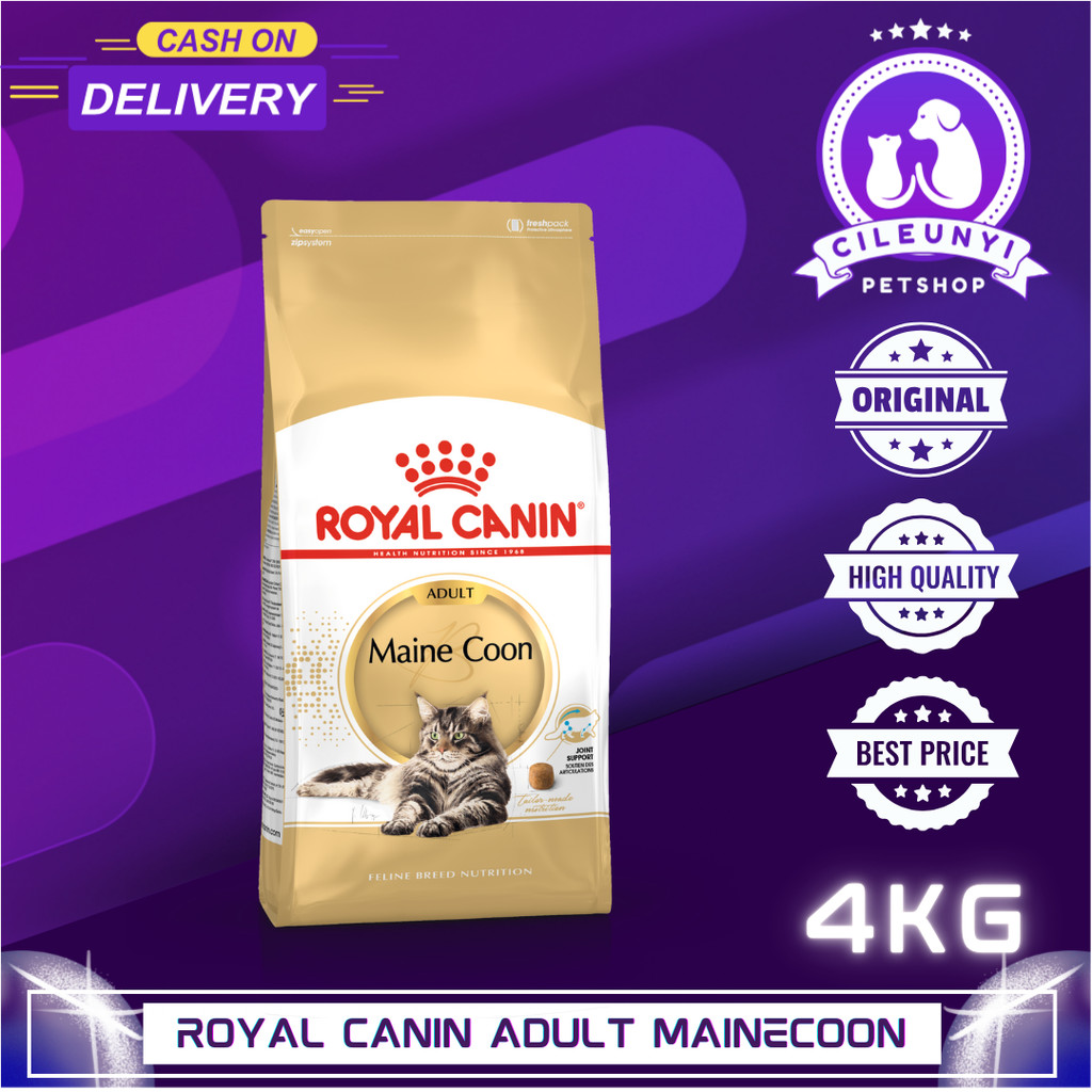 ROYAL CANIN MAINE COON ADULT 4KG