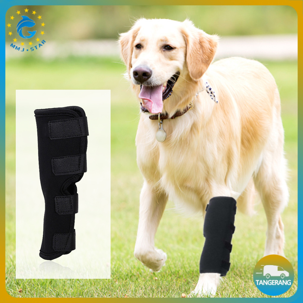 Set Perban Pelindung Lutut Anjing Dog Leg Brace Knee Support Untuk Pasca Operasi Cedera Atau Luka