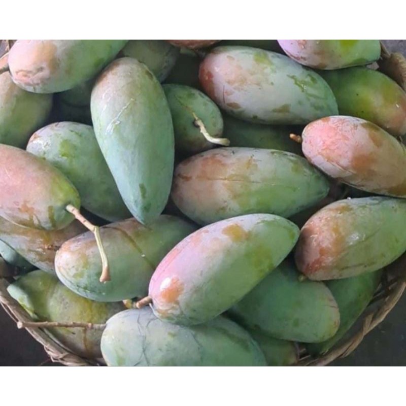 

PROMO AMBYAR MANGGA KIOJAY THAILAND 600- 700gram 1 Buah TERMURAH