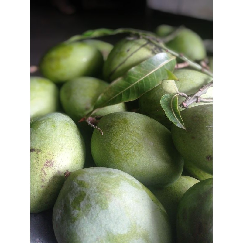 

TEBUS AMBYAR mangga muda,rujak 1kg.ukuran besar. TERLARIS