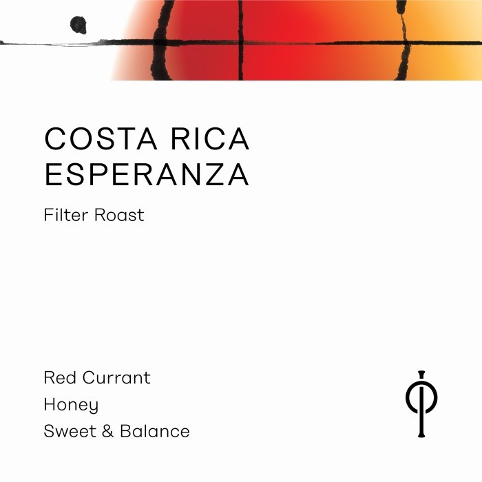 

Costa Rica Esperanza - Instinct Roastery - 150 gram