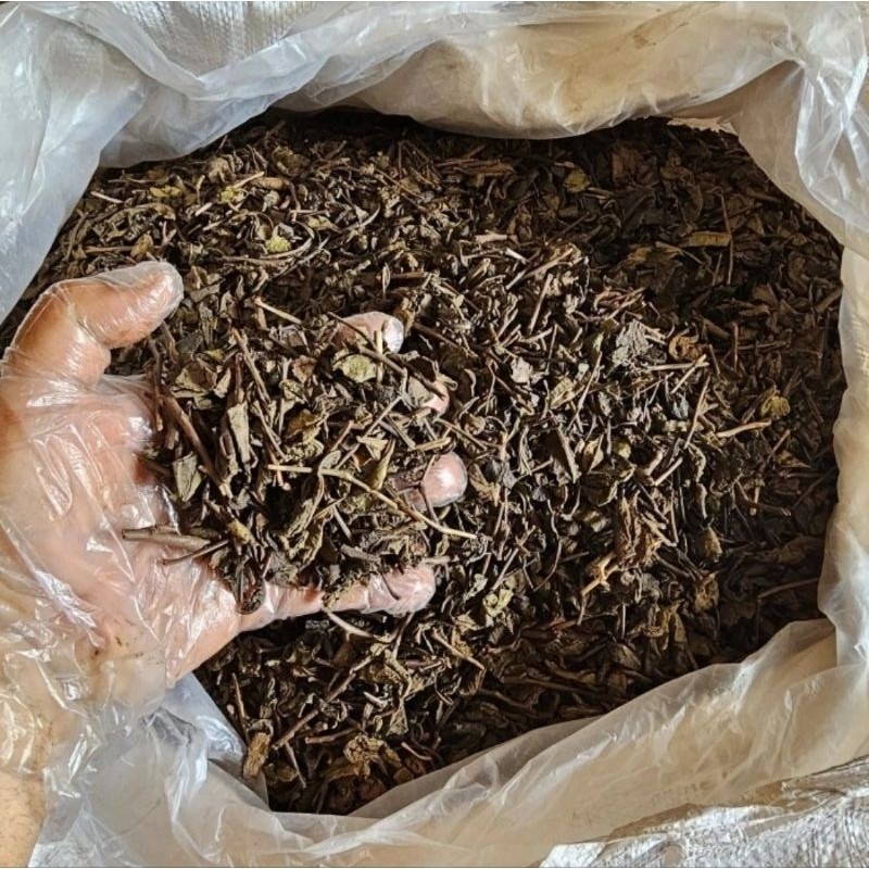

PROMO Teh Hitam - Black Tea - Daun Teh Hitam Kering Asli Dan Alami