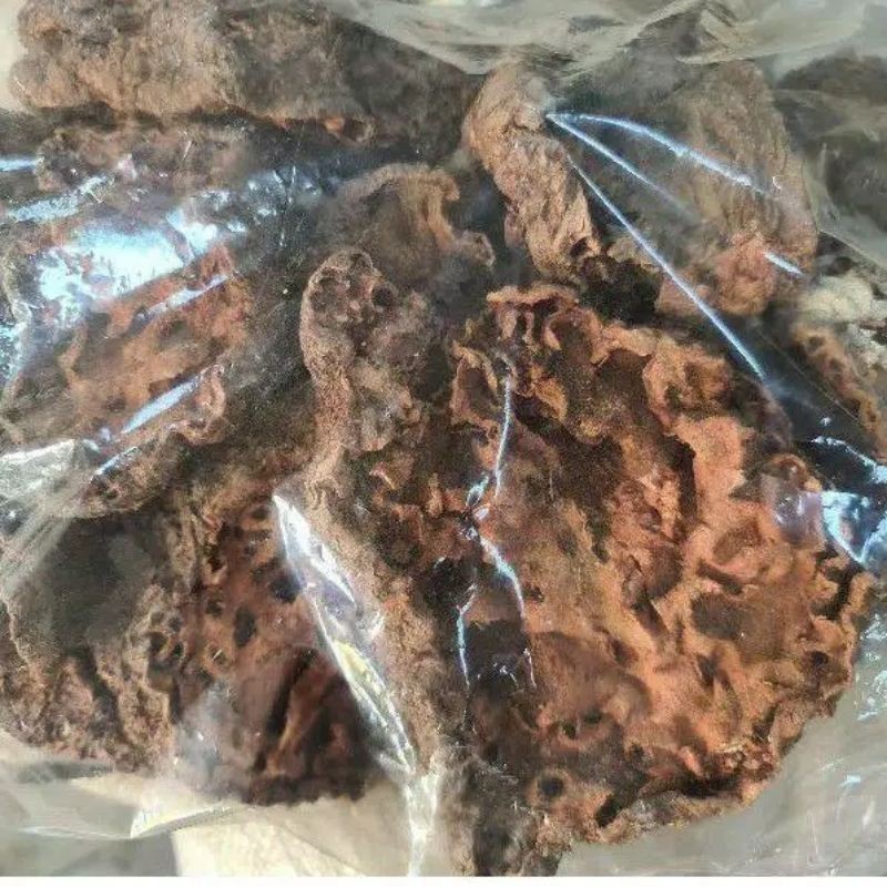 

Promo Sarang Semut Papua Asli 500gr