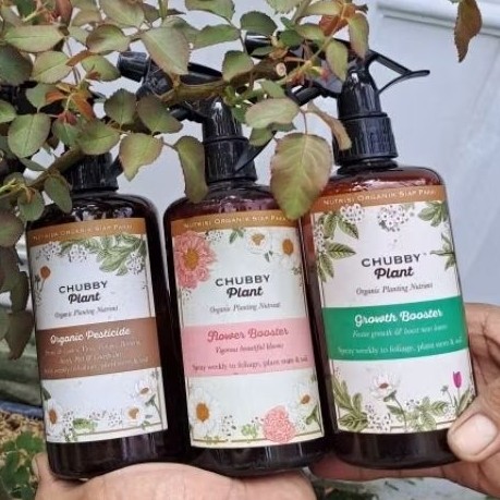 chubby Plant pupuk cair nutrisi seimbang makro mikro grow flower bunga pestisida organik perawatan t