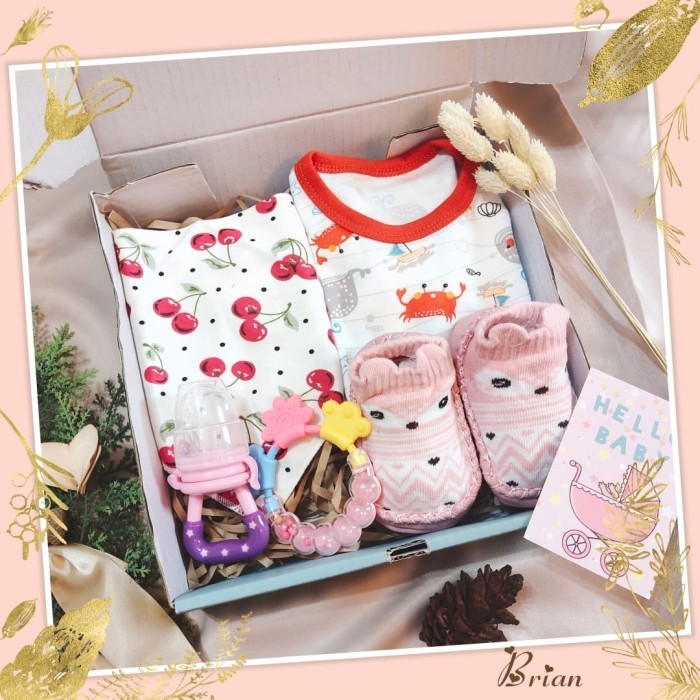 

Paket Hampers Baby Born Bayi Lahir Untuk Kado Gift Lahiran Type Brian - PINK