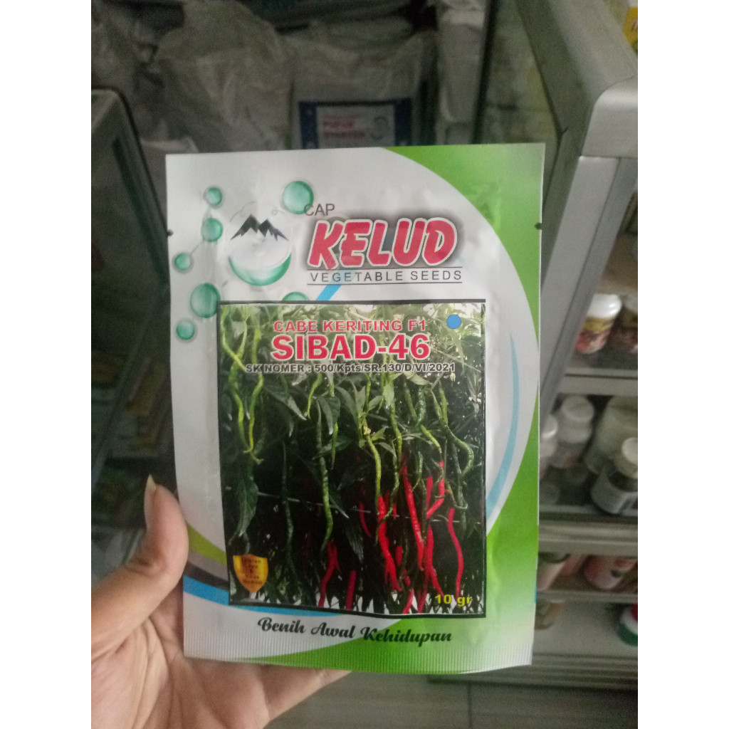 Benih Cabe Keriting Sibad 46 - 10 Gram Tahan Virus