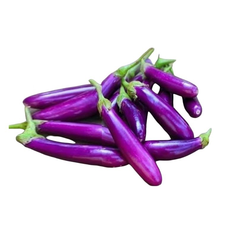 

Terong Ungu segar1kg