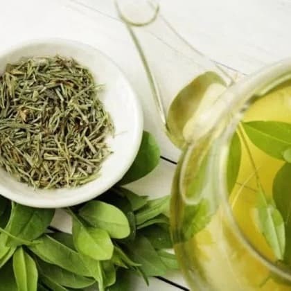 

Ekstak Greentea / Greentea Extract (1L)