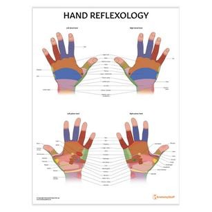 POSTER AKUPUNTUR HAND REFLEXOLOGY - A3+ Artpaper