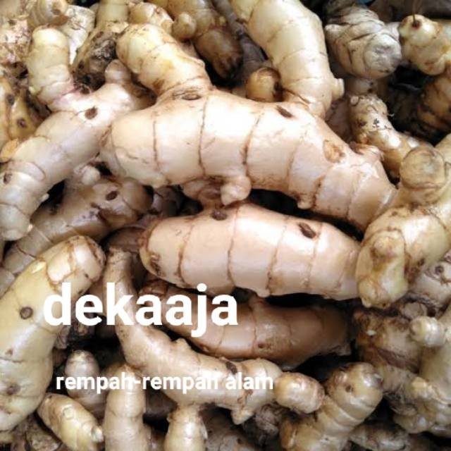 

TEMU PUTIH KUNYIT KUNIR PRESH 500GR ready