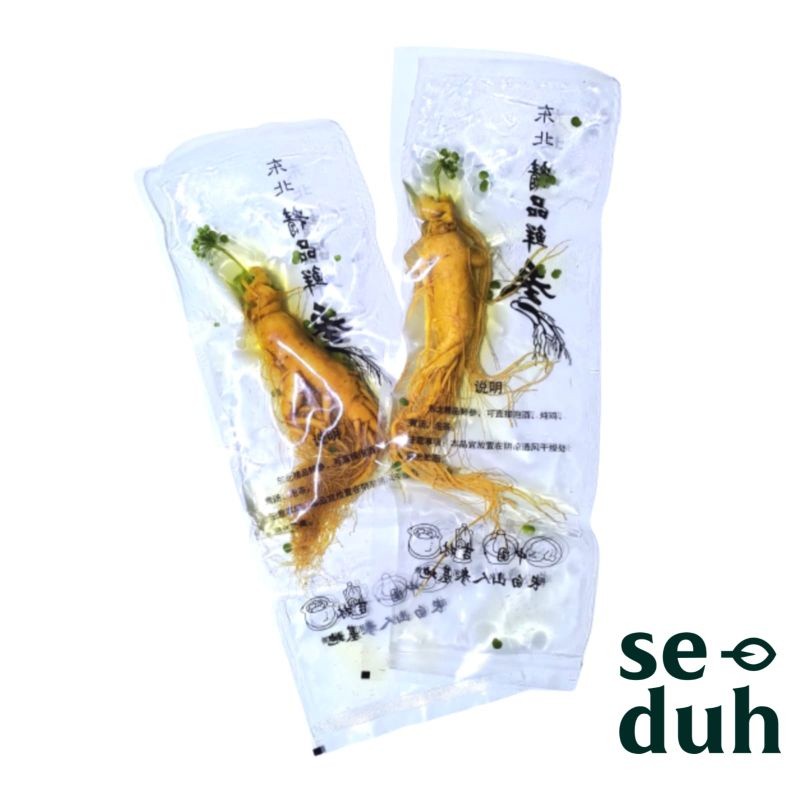 

Ginseng Segar ukuran besar 200 gram / Fresh Ginseng root vacuum pack