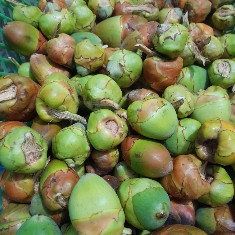 

1 Pcs beluluk Kelapa Segar Asli | Bahan Tradisional | Siap Olah