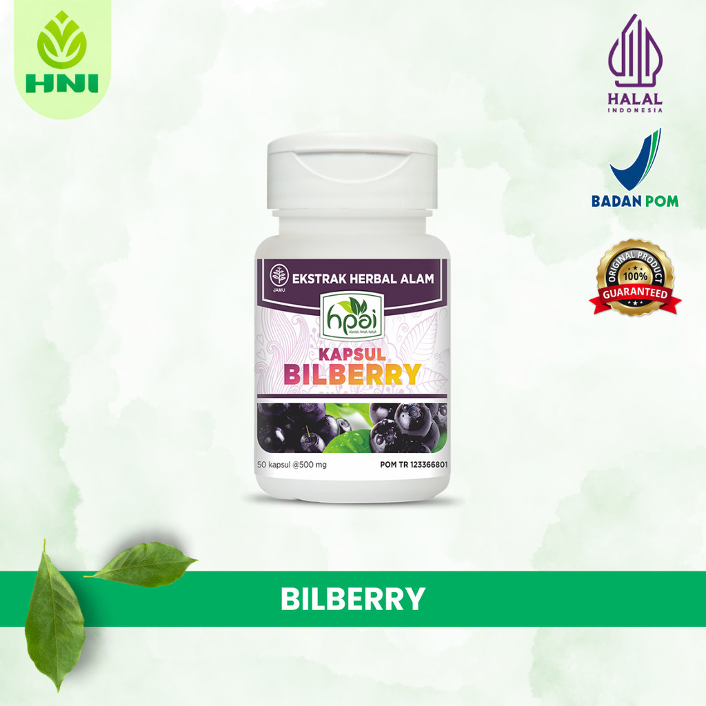 

BILBERRY - Menjaga Fungsi Retina Mata Melancarkan Darah - HNI BPOM
