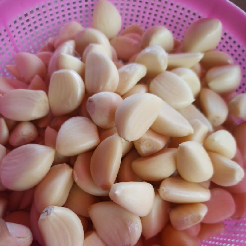 

PROMO TERMURAH Terbaru bersih bawang putih sinco bawang putih kating 1kg bawang kating bawang sinco