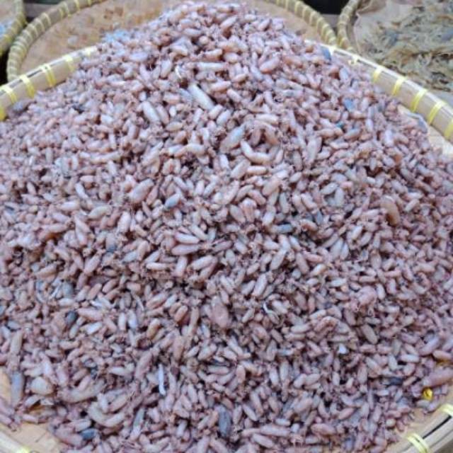 

TermurahBABY CUMI KERING PREMIUM 100 GRAM UKURAN 0,5 GRADE A CUMI MENTAH TERLARISnew