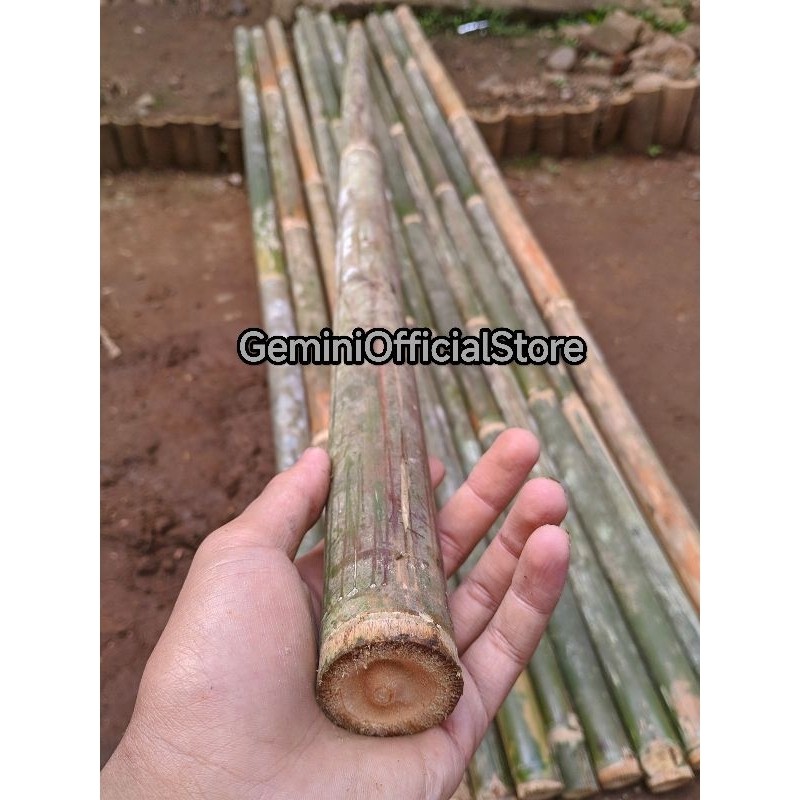 TONGKAT PRAMUKA BAMBU TONGKAT PRAMUKA Ukuran 160cm