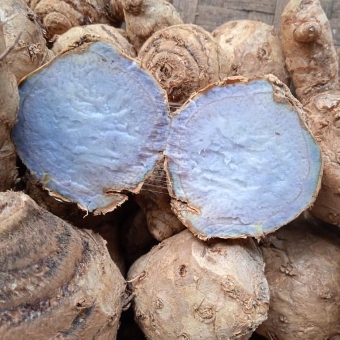 

temu hitam/temu Ireng/kunyit Hitam 1 kg