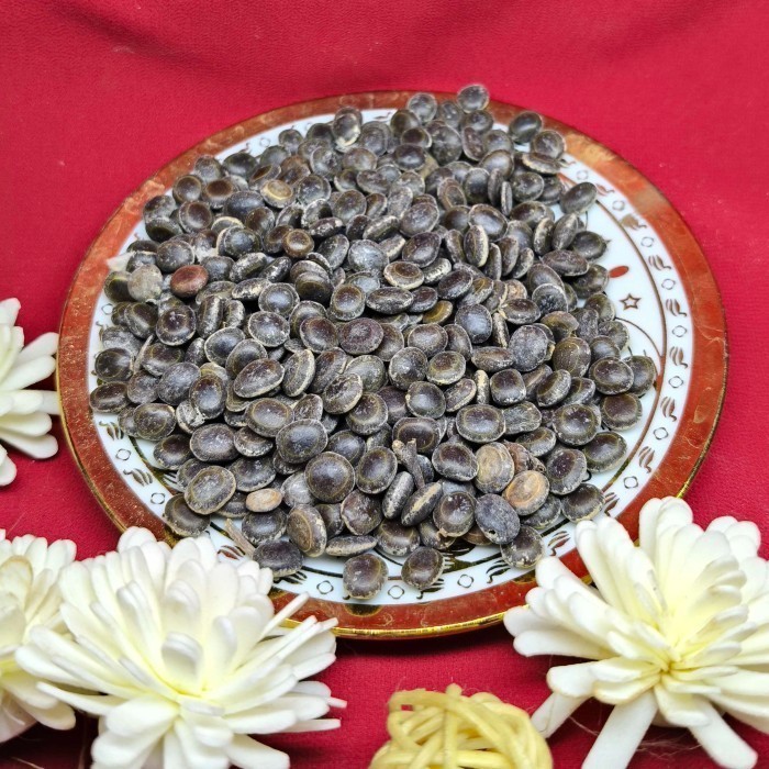 

Biji Klampis 100 Gram Murni Organik Food Grade Asli Bumi Indonesia