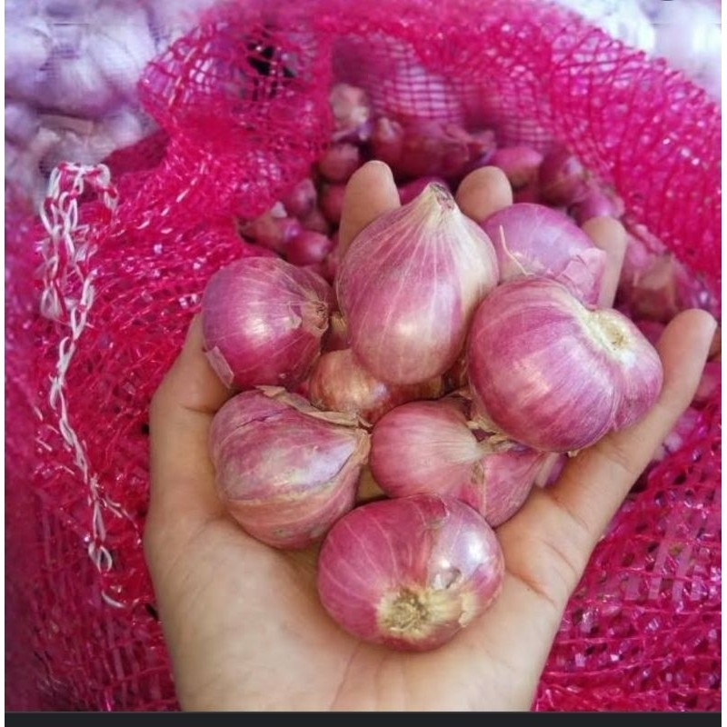 

UD BUAH 3 SAUDARA BAWANG MERAH BREBES