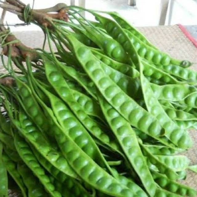 

UD BUAH 3 SAUDARA Pete / petai