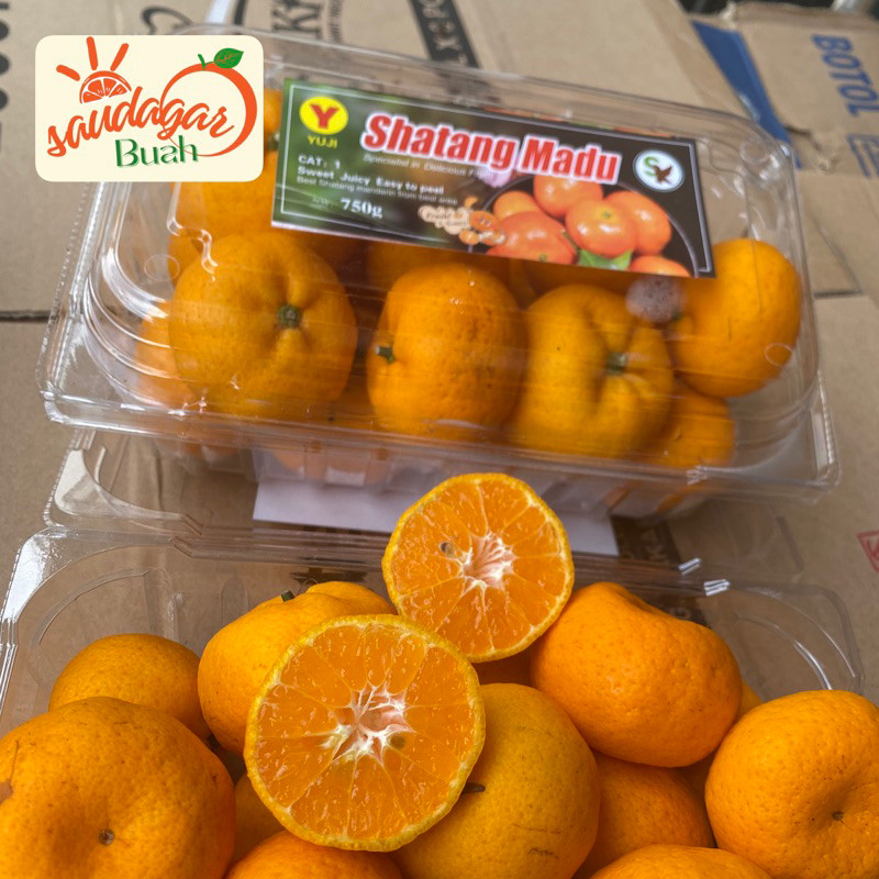 

UD BUAH 3 SMAUDARA BUAH JERUK SANTANG MADU PACK SEDLES MANIS JUICY TANPA BIJI