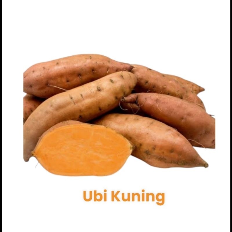 

TERMURAH UBI KETELA 1 KG (TELO UNGU, KUNING)