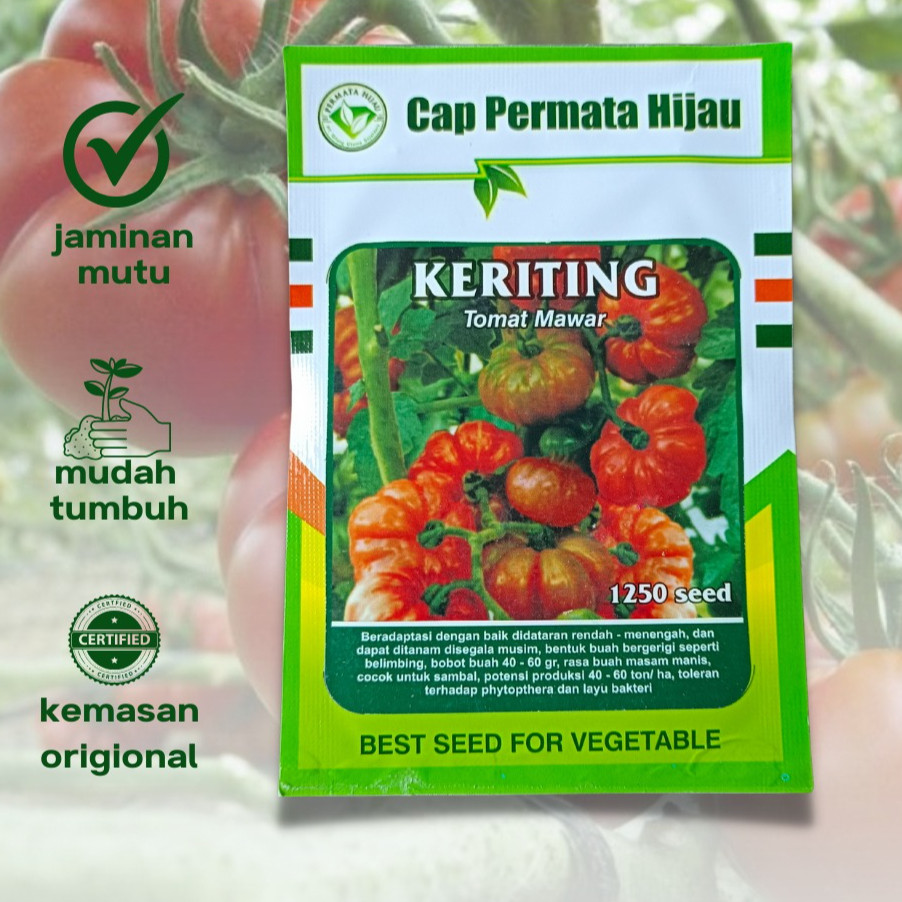 Benih Tomat Mawar KERITING 10 gram Biji Bibit Cap PERMATA HIJAU