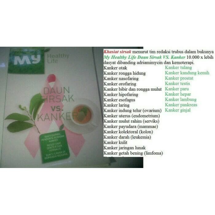 

DAUN SIRSAK SEGAR PER LEMBAR