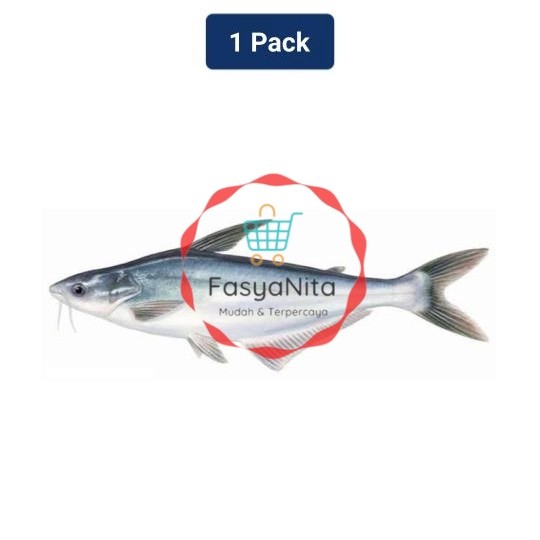 

Ikan Patin 1 Pack (405 - 495 gr) - Fasyanita Denpasar