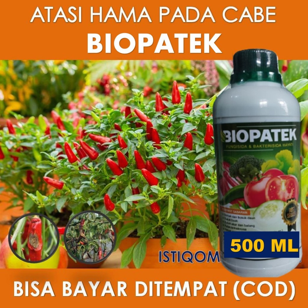FUNGSIDA PATEK CABE, BIOPATEK CABE ANTI HAMA CABE, OBAT HAMA PATEK CABE, PATEK CABE BIOPATEK