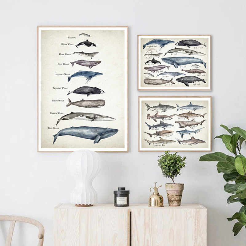 

Whales Size Comparison Chart Print Whale Watercolor Painting Child Educational Poster Nursery Wall Art Pictures Kids Room Decor