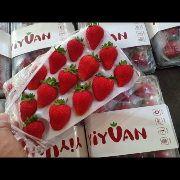 

Strawberry red yiyuan fresh | Buah strawberry yiyuan fresh pack