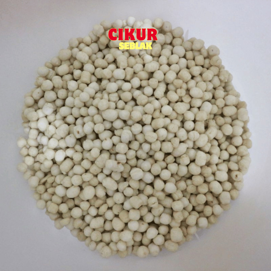 

COD BISA COD! cikur 1kg sukro cikur tiktak cikur pilus cikur pilus