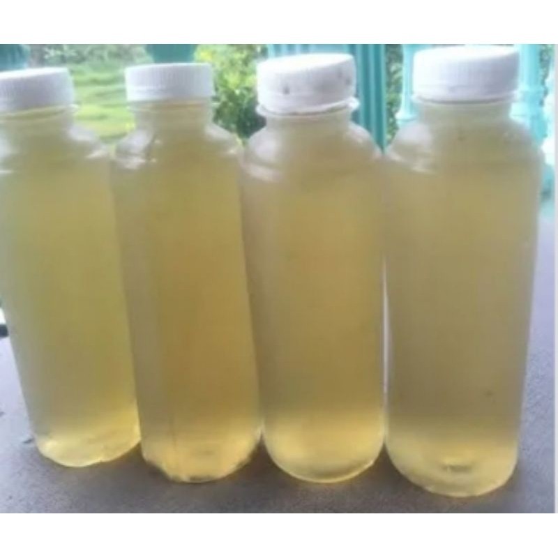 

Air Nira,Lahang Kawung,Air Nira Segar 100%