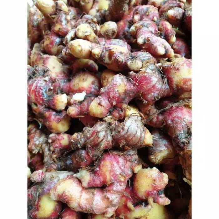 jahe merah 1 kg