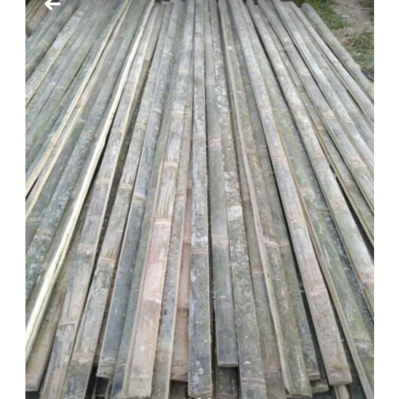 BAMBU BILAH PAGAR KANDANG AYAM 2 METER 1 METER