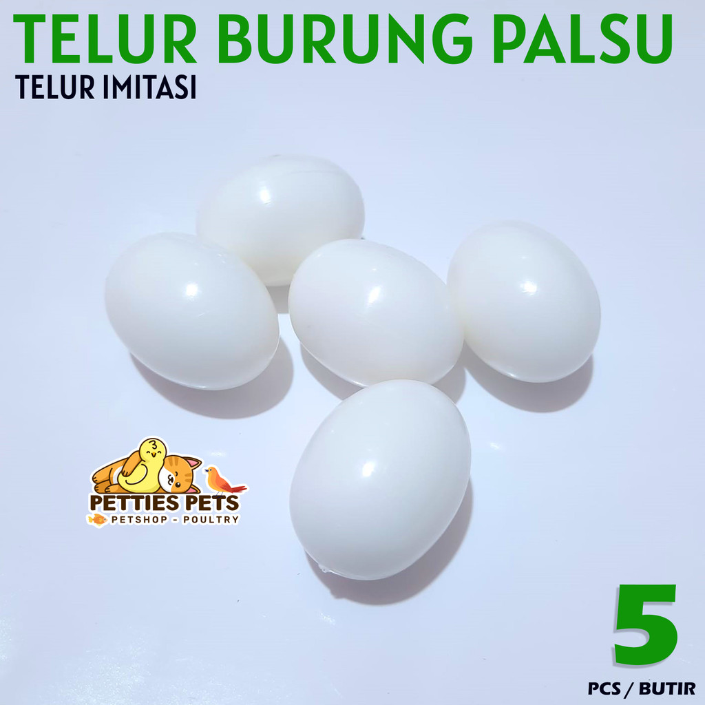 PTS TELUR BURUNG MERPATI SIMULASI 5 PCS | TELUR PALSU MERPATI | TELUR MAINAN BURUNG MERPATI