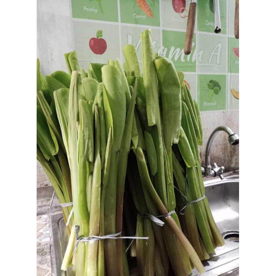 Daun Genjer Sayur Segar