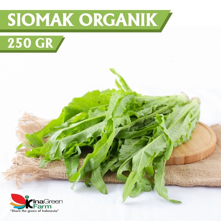 

Inagreen Farm Bandung Sayur Siomak Organik 250 Gram