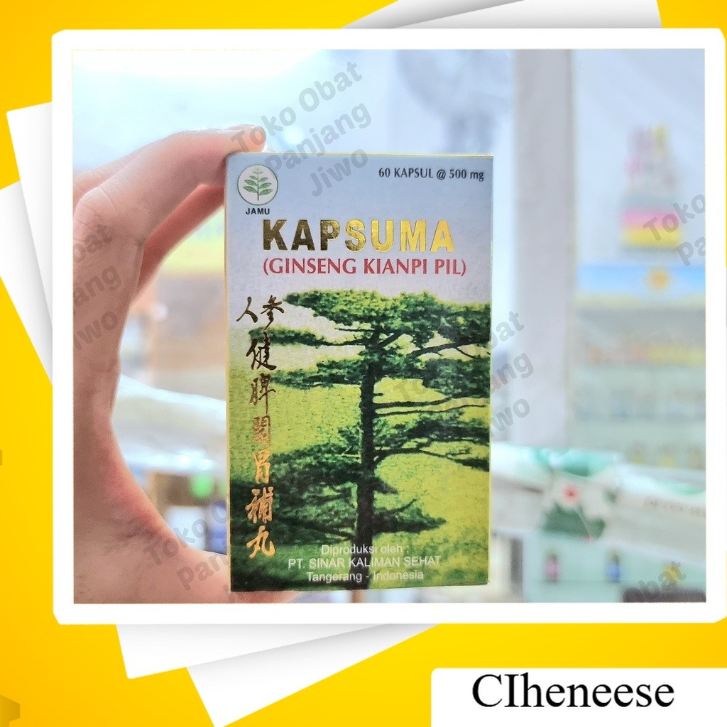 (Ginseng Kianpi Pil)