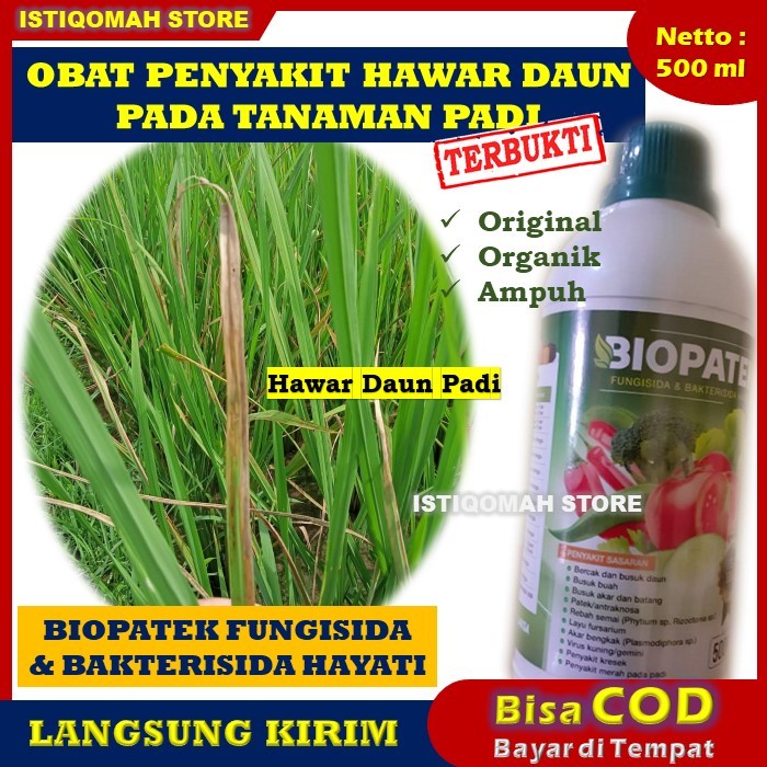 OBAT HAMA PADI Fungisida & Bakterisida Hayati BIOPATEK 500ml Obat Penyakit Padi Hawar Daun