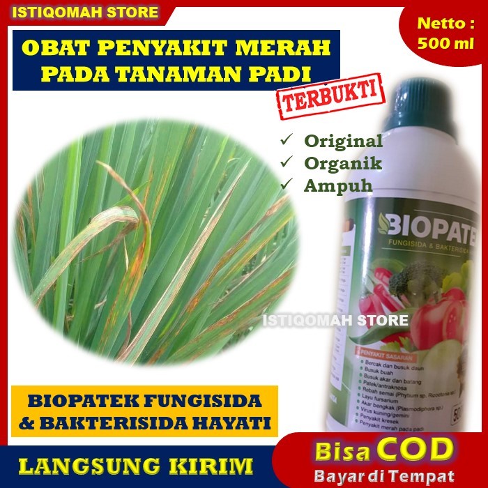 OBAT HAMA PADI Fungisida & Bakterisida Hayati BIOPATEK 500ml Obat Hama Merah Pada Tanaman Padi