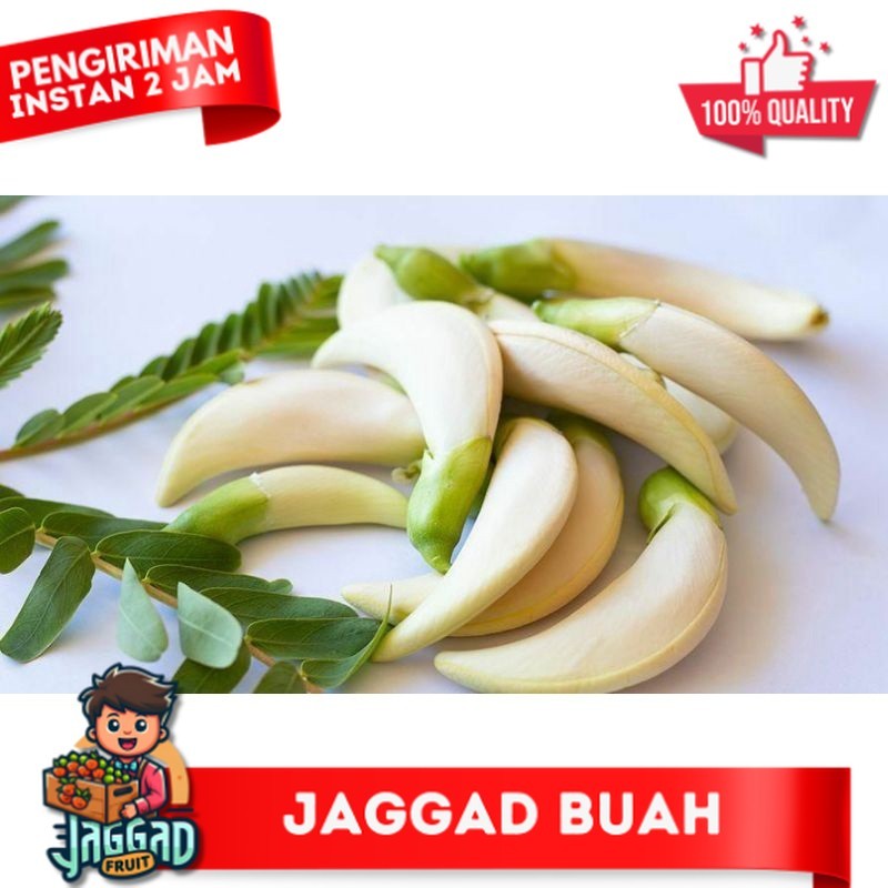 

Kembang Turi / Sayur Murah Semarang / Belanja di Semarang / Fresh Dan Segar / Belanja Online Sayur