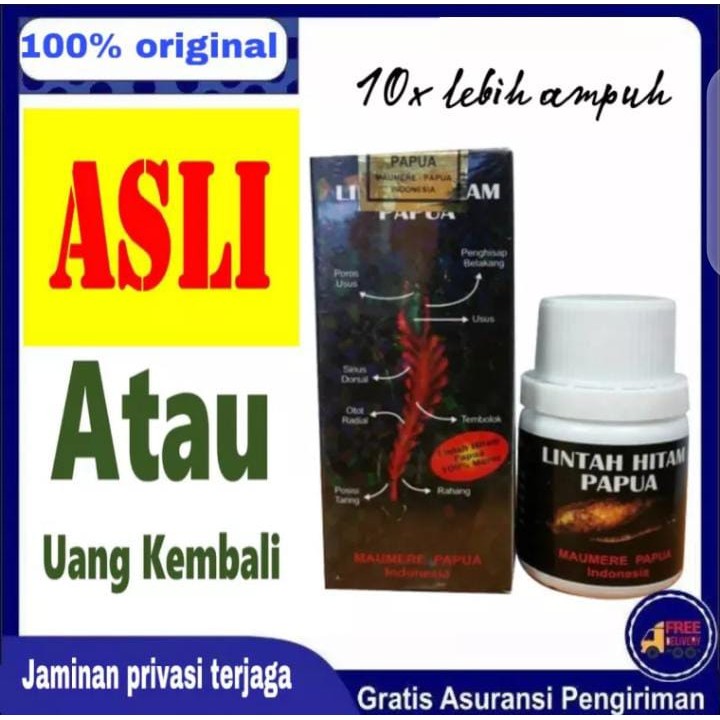

MINYAK LINTAH PAPUA OBAT PEMBESAR ASLI DARI PAPUA