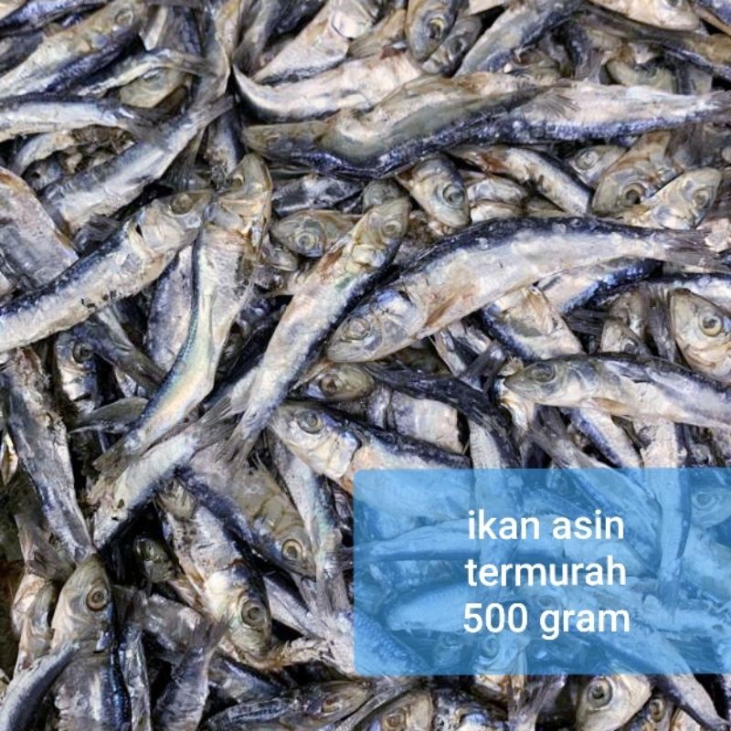 

TERLARIS Ikan Asin Cekong Cop Termurah 500 Gram Segar